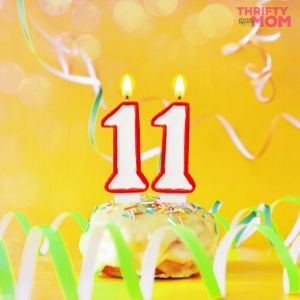 30 Super Easy 11 Year Old Boy Birthday Party Ideas
