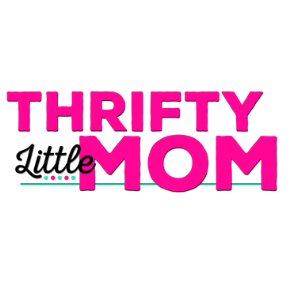 Thrifty Little Mom