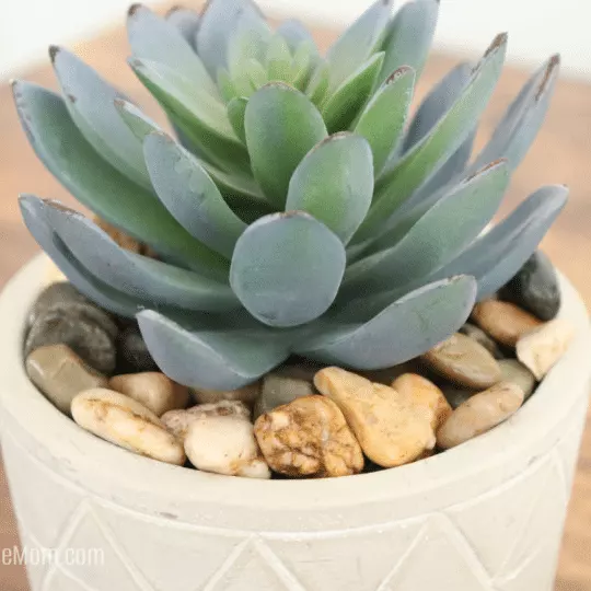 How To Make Potted Faux Succulents￼